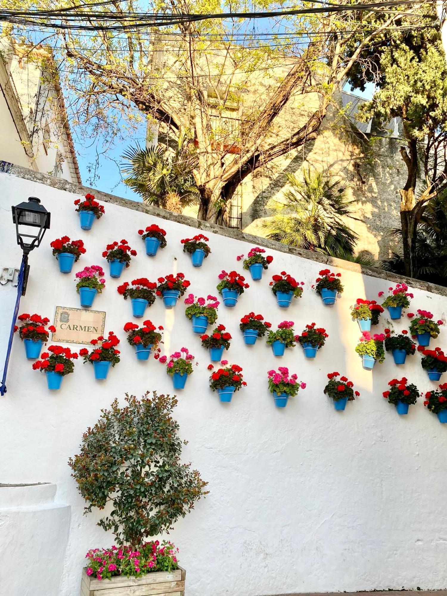 Studio Oasis In 2º Line Beach In The Centre Of Marbella - Eaw Homes Exteriér fotografie